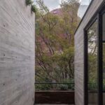 Imagen de WhatsApp 2025-07-01 a las 21.50.58_5b79a2ee